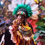 Carnival Rio - shallow focus photography of in brown costume