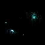 Waitomo Caves - blue light on black background
