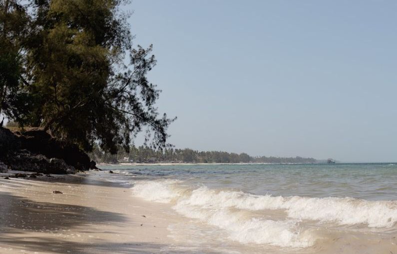 Zanzibar Beach - a sandy beach with waves coming in to shore